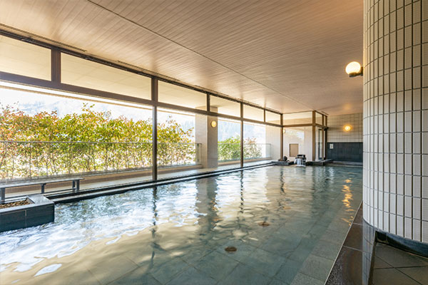 NASPAニューオータニの風呂の画像