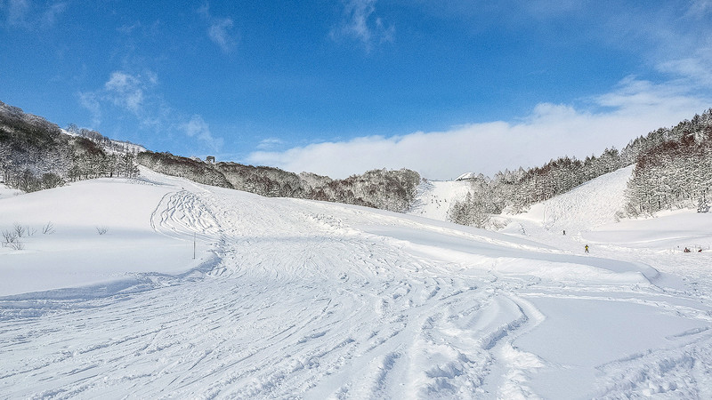 新潟県のおすすめヶ所以上のスキー場一覧 公式 オリオンツアー