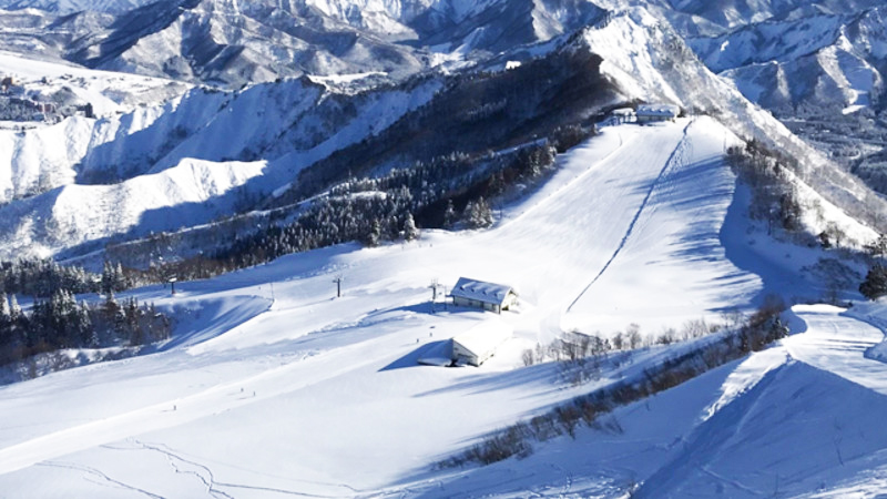 新潟県のおすすめヶ所以上のスキー場一覧 公式 オリオンツアー