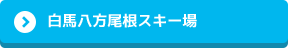 白馬八方尾根スキー場