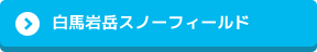 白馬岩岳スノーフィールド