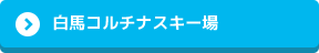 白馬コルチナスキー場