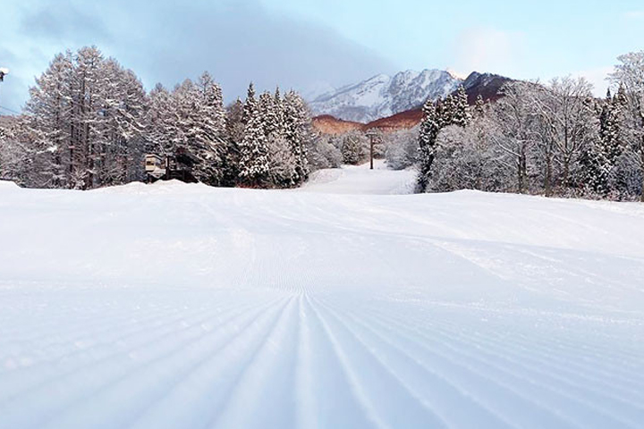 妙高杉ノ原スキー場