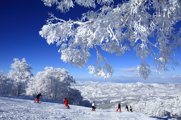 野沢温泉スキー場