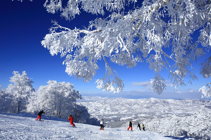 野沢温泉スキー場