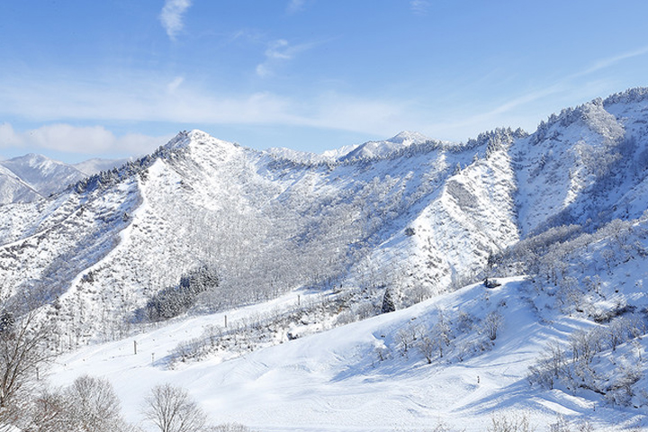 湯沢中里スノーリゾート