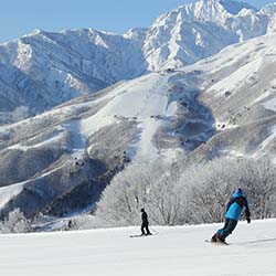白馬岩岳スノーフィールド