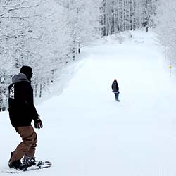 白馬岩岳スノーフィールド