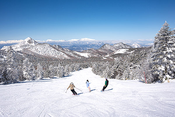 志賀高原（横手山・渋峠スキー場）の画像