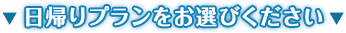 日帰りプランをお選びください