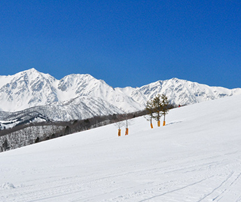 白馬岩岳スノーフィールド