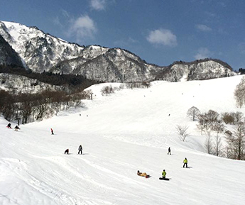 氷ノ山国際スキー場