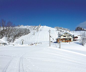 アップかんなべ