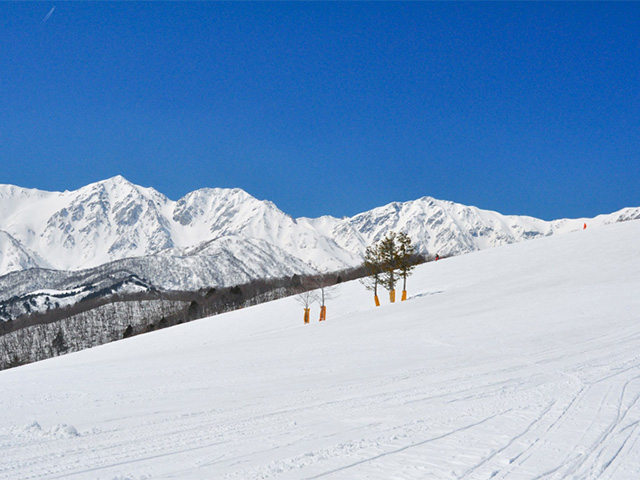 白馬岩岳スノーフィールド