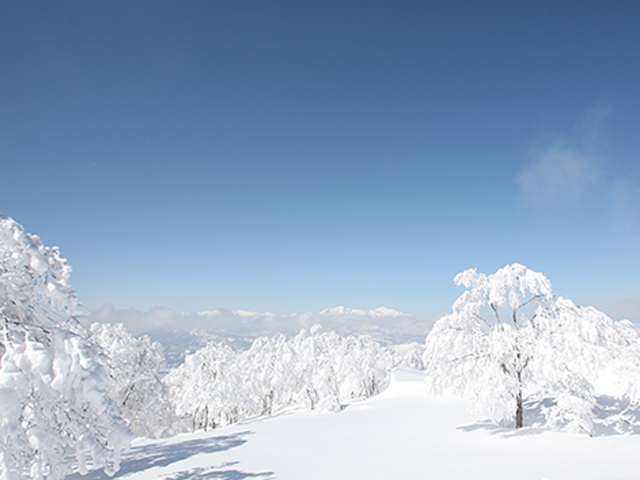 野沢温泉スキー場