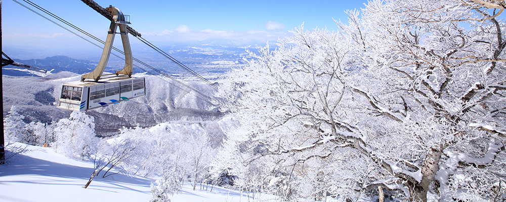 長野お土産