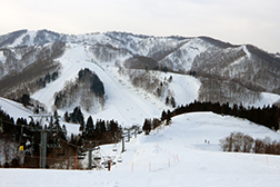 GALA湯沢スキー場の画像