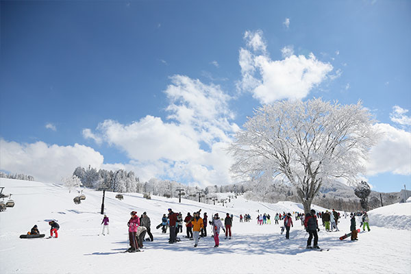 野沢温泉スキー場の画像