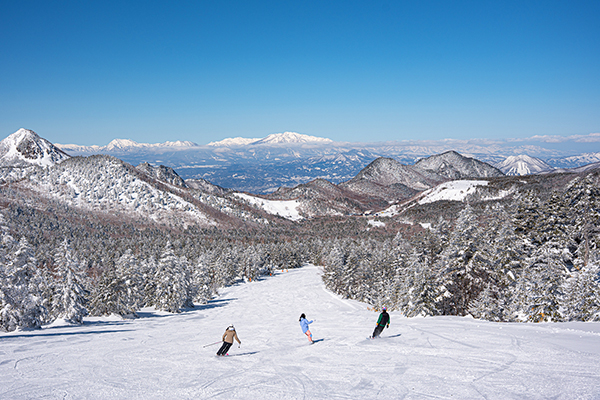 志賀高原（全山）の画像