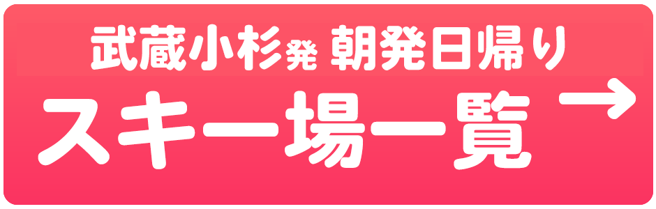 朝発日帰り