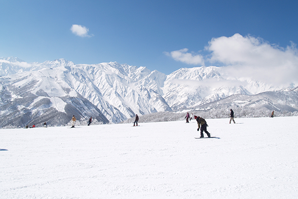 白馬岩岳スノーフィールドの画像