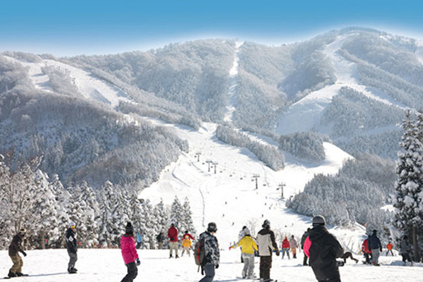 スキージャム勝山の画像