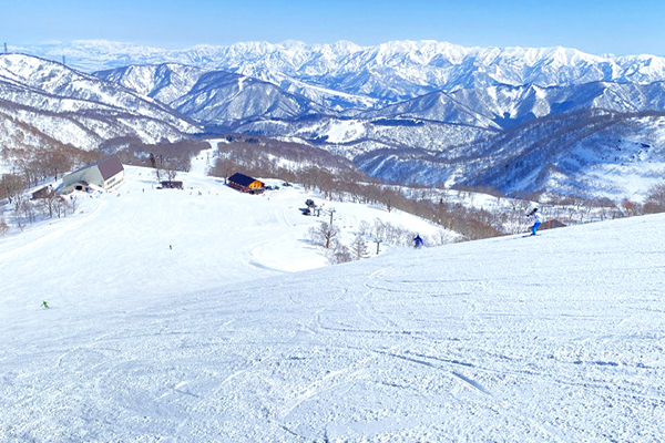Mt.Naeba(苗場・かぐら共通)の画像