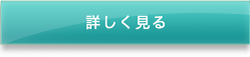 詳しく見る