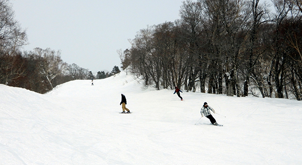 妙高杉ノ原スキー場