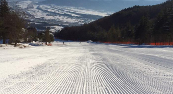 中央道伊那スキーリゾート