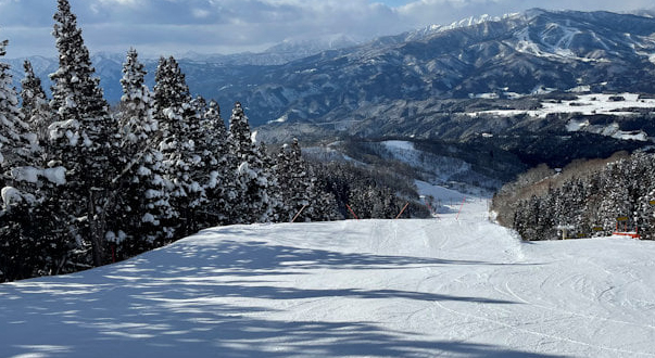 ホワイトピアたかす