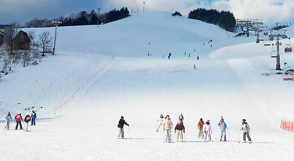 アップかんなべ