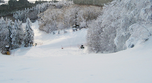めがひらスキー場