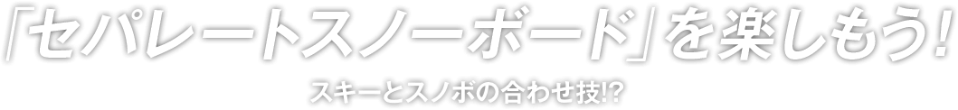 セパレートスノーボードを楽しもう！