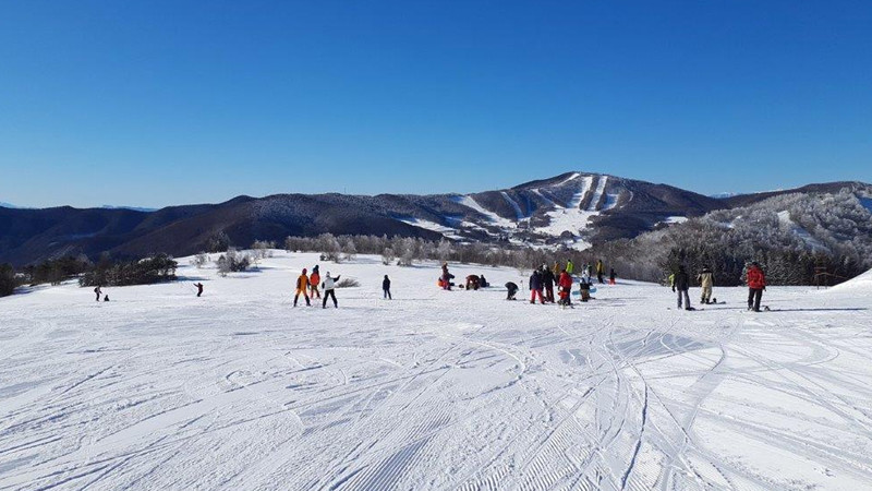 菅平高原スノーリゾート（全山エリア）の画像02