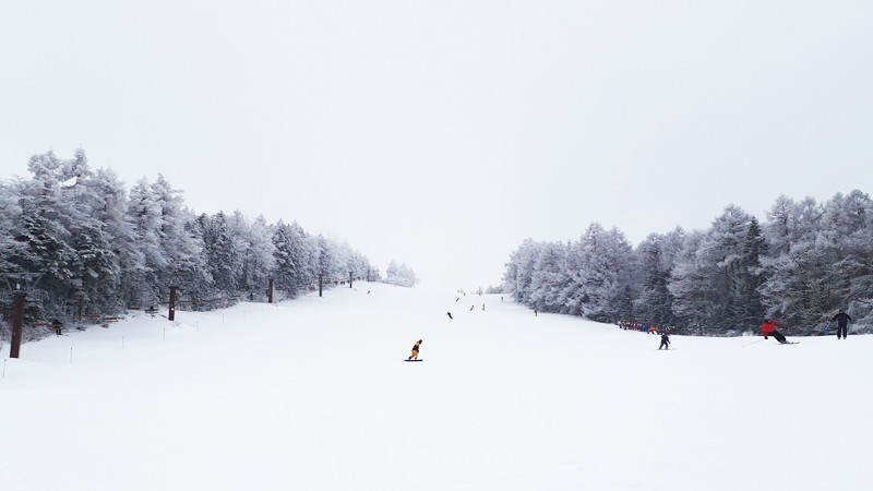 菅平高原スノーリゾート（全山エリア）の画像04