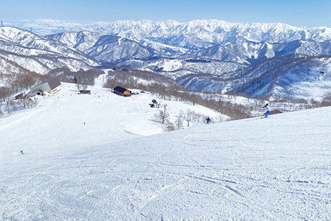 かぐらスキー場