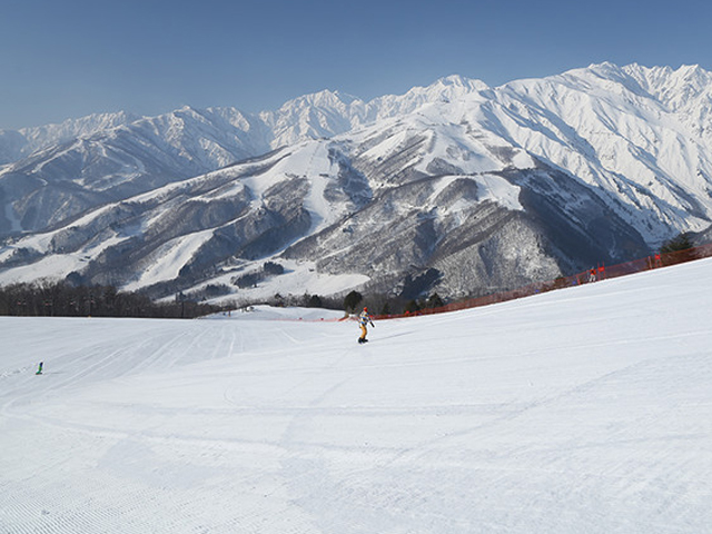 白馬岩岳スノーフィールド
