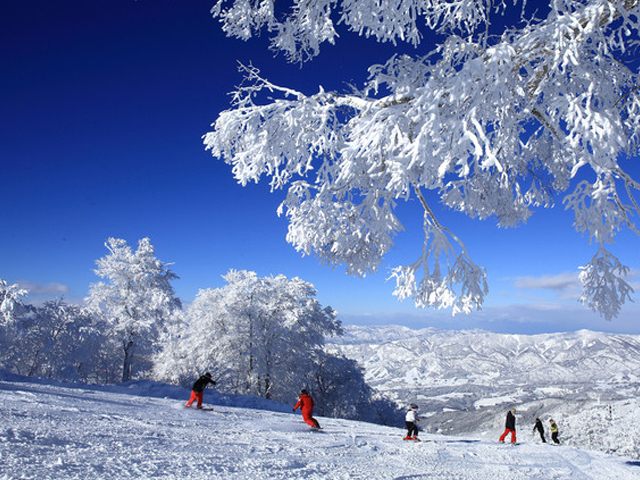野沢温泉スキー場