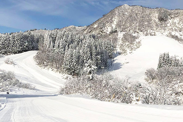 シャトー塩沢スキー場の画像