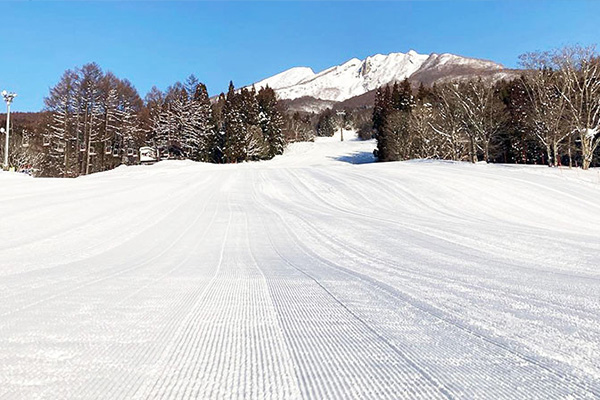 妙高杉ノ原スキー場の画像