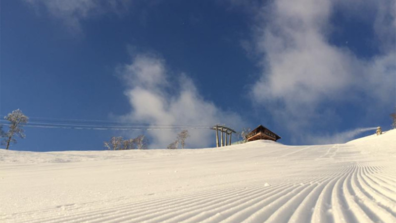 Mt.Naeba（苗場・かぐら共通）