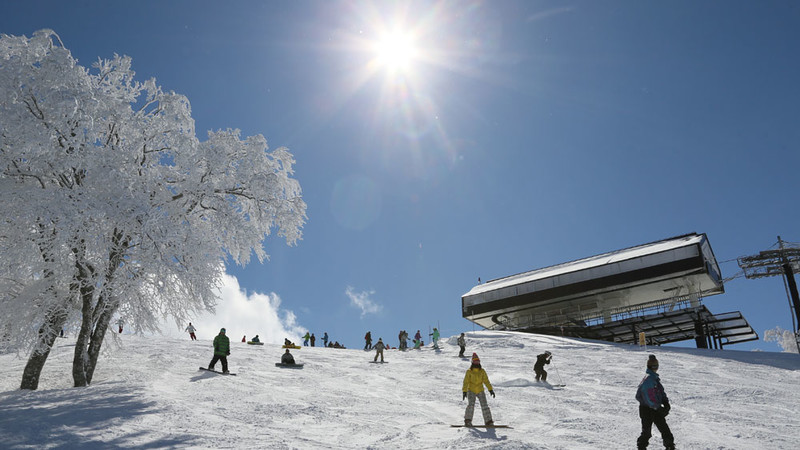 野沢温泉スキー場【スキー場PV動画あり】|日帰り・宿泊スキー＆スノボツアー