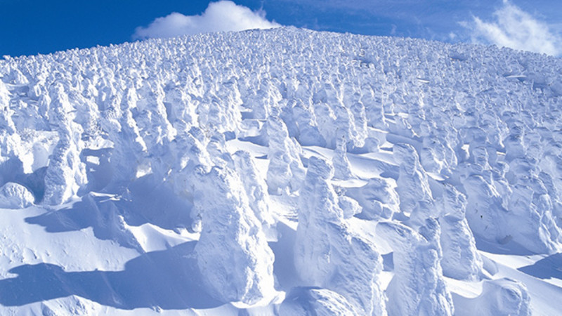 草津温泉スキー場 積雪状況