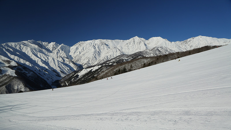 白馬岩岳スノーフィールド