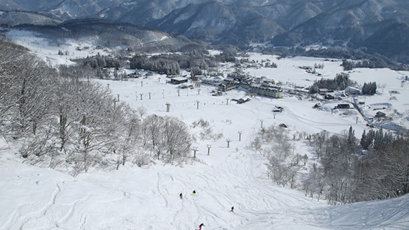 乗鞍 スキー 場 温泉 白馬