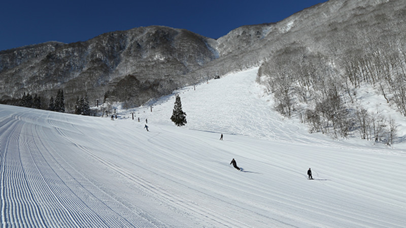 さのさか スキー 場