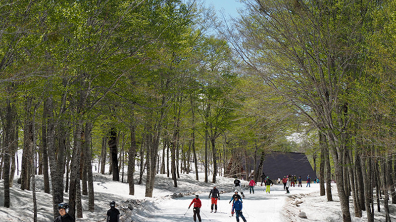 奥只見丸山スキー場