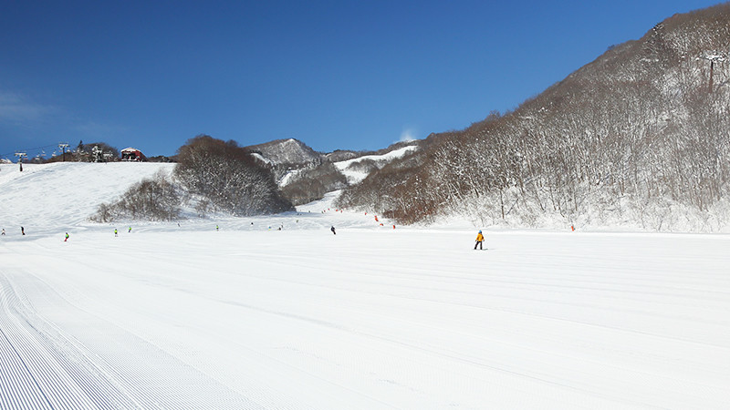 つがいけマウンテンリゾート（栂池高原）