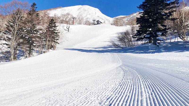 妙高杉ノ原スキー場